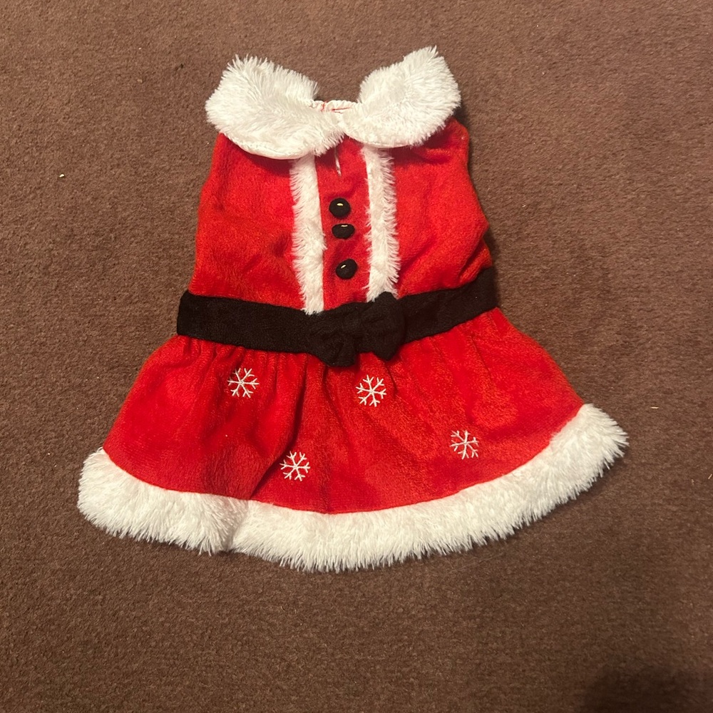 Red Santa Dog Dress with White Trim - Picture 1 of 15